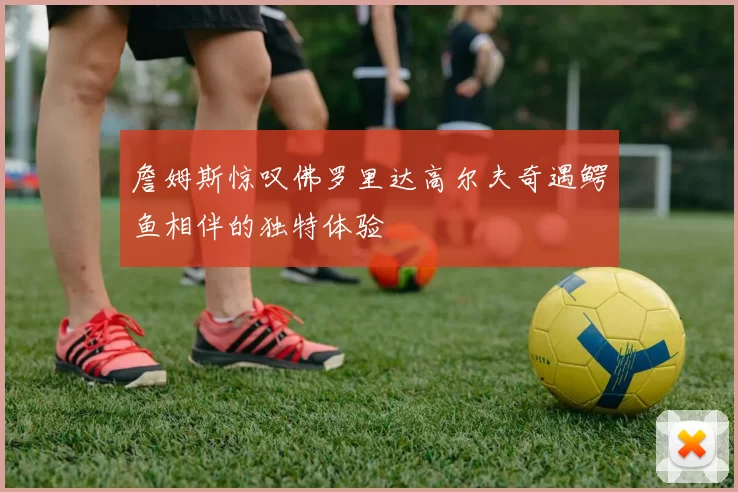 詹姆斯惊叹佛罗里达高尔夫奇遇鳄鱼相伴的独特体验