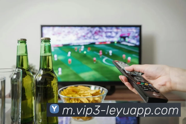 App Interface Preview