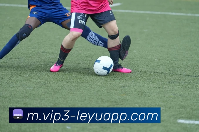 乐鱼体育APP 封面图