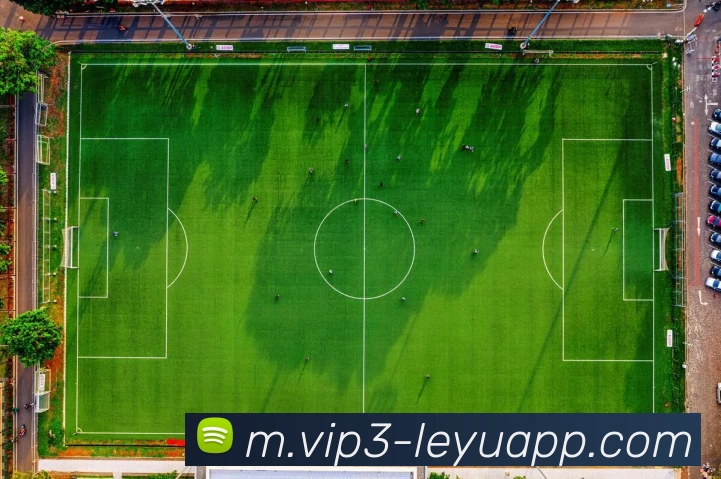 数据防护可视化